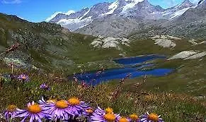 Lejlighed Anais Aymavilles